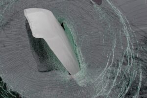 фото https://dp.informator.ua, глыба льда разбила стекло