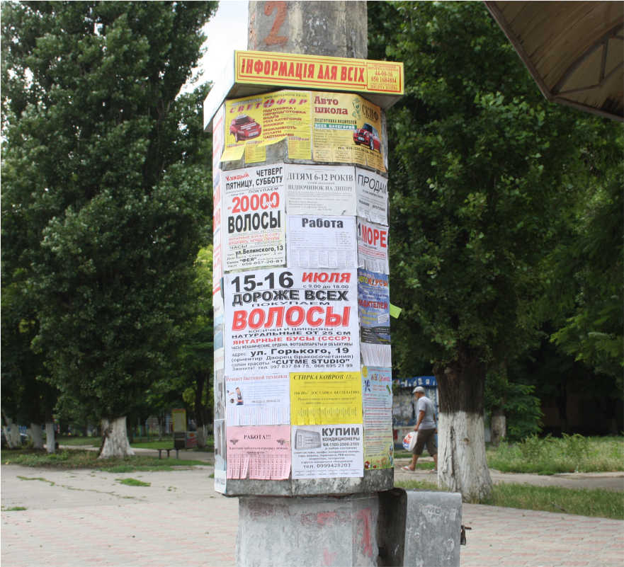 местная власть