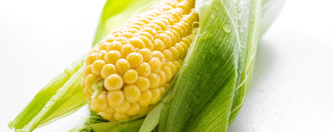 Кукуруза