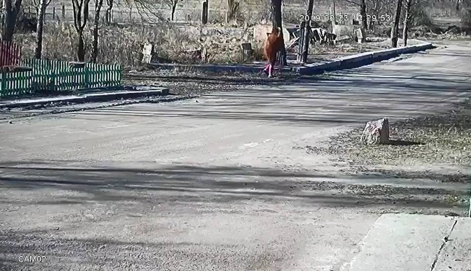 видео