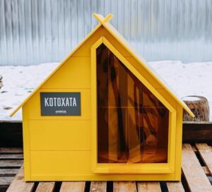 52938757_2107720375982351_8751748077582286848_n