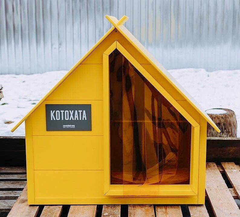 52938757_2107720375982351_8751748077582286848_n