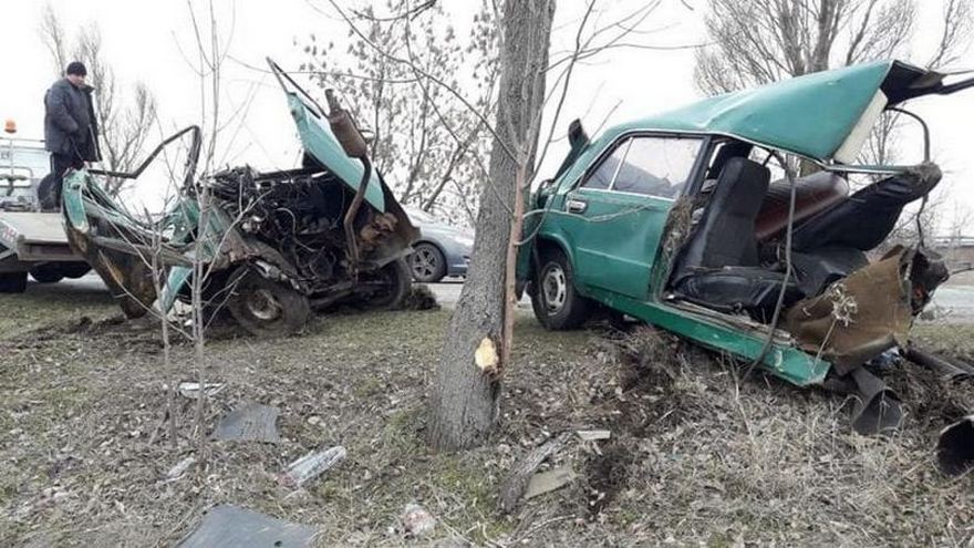 52977686_2227442384196712_2823850545108746240_n-730x411