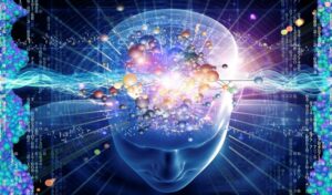 укрпочта коробки