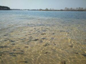 55882082_2053840268048344_411731799970938880_o