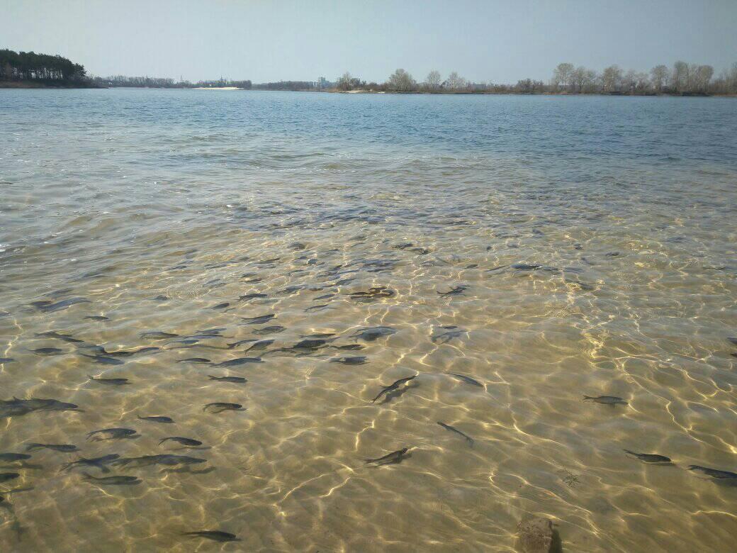 55882082_2053840268048344_411731799970938880_o