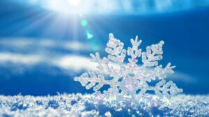 5a4e6e9c62fd1ff64b3b91855d7f3c9b