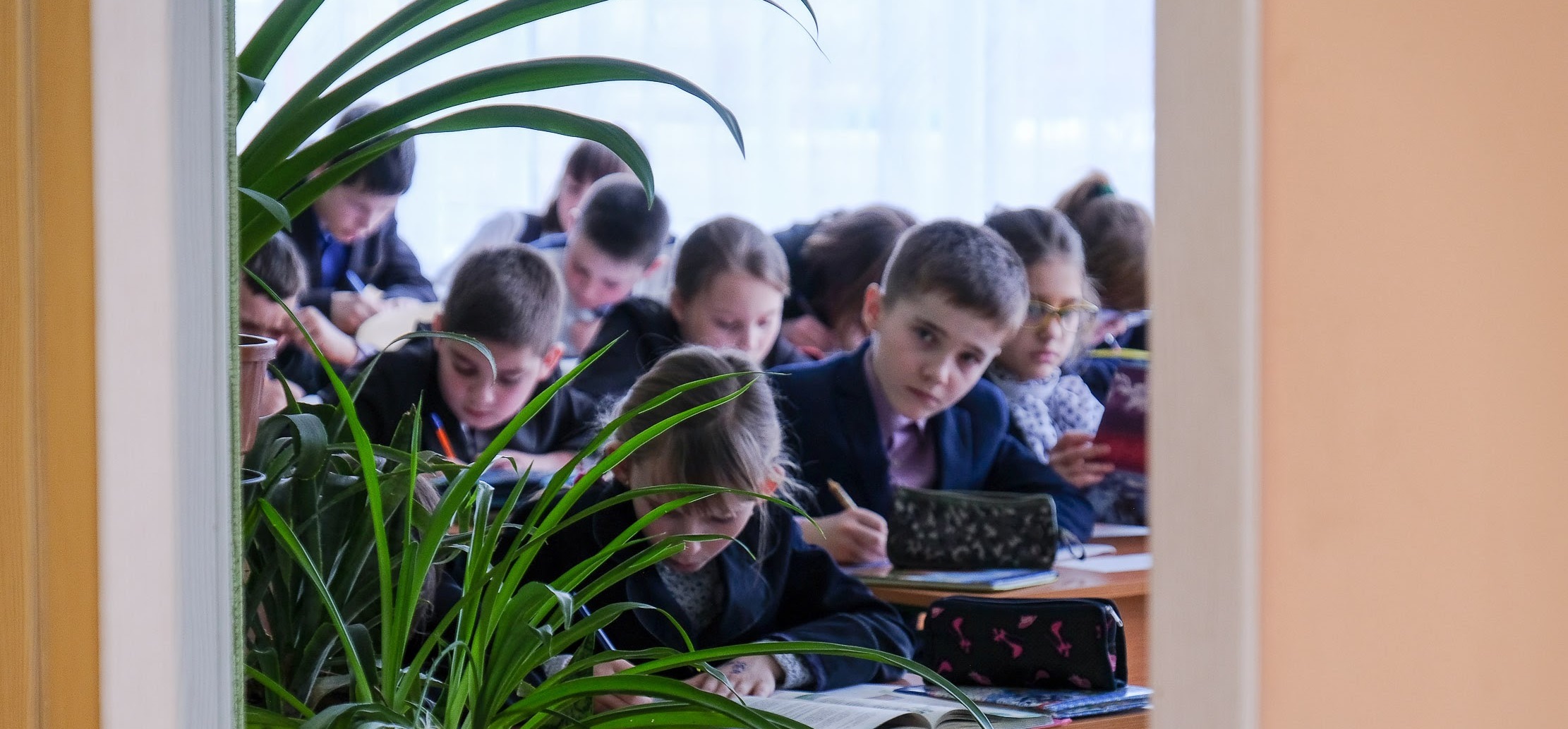 5a82ccf268f45388258519