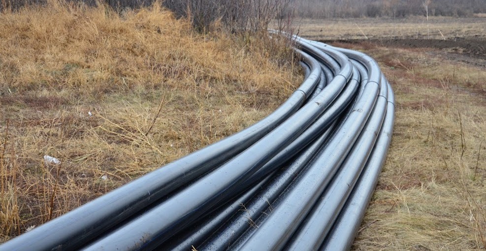 5ae1c6eab193c163940076