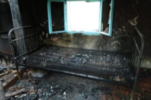 5bec21dc06d33-46158493-346711752544588-6209405155230613504-n