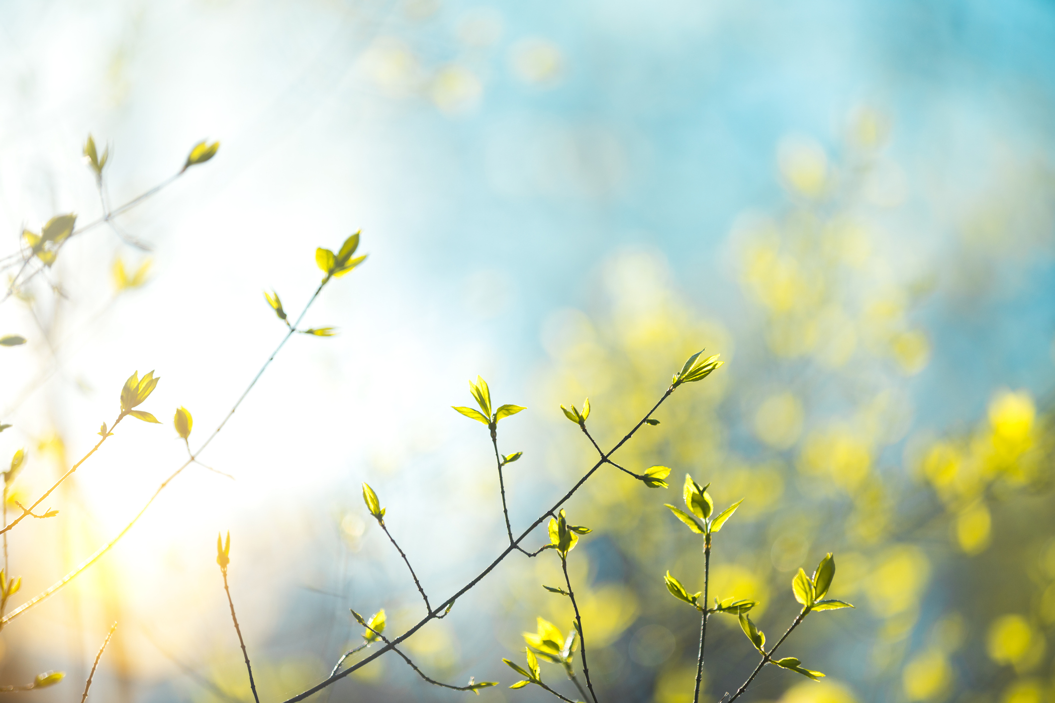 5c7d183b1217a_gettyimages_891953288_3