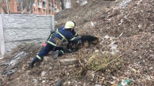 5c837ef4d039d201735619