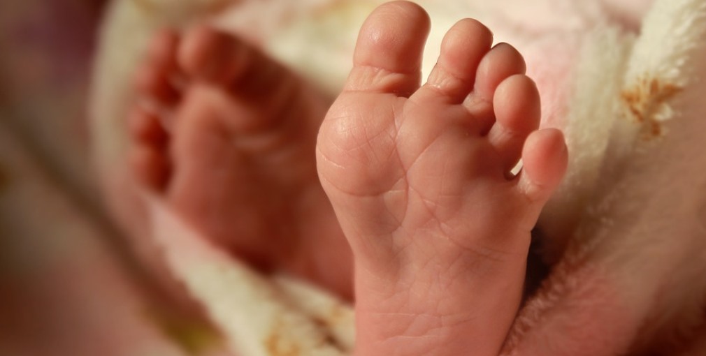 5c98eab3b963d795241464