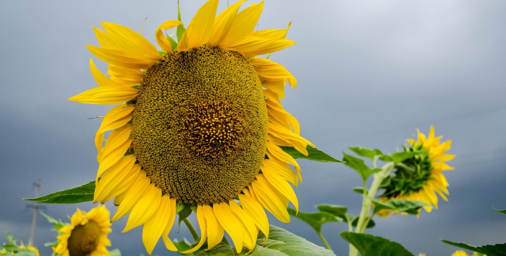 5cb580b2f2c0f425013834