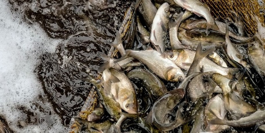 5cbef69b1d8e6676217813