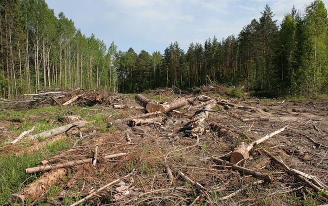 Одесса убийство