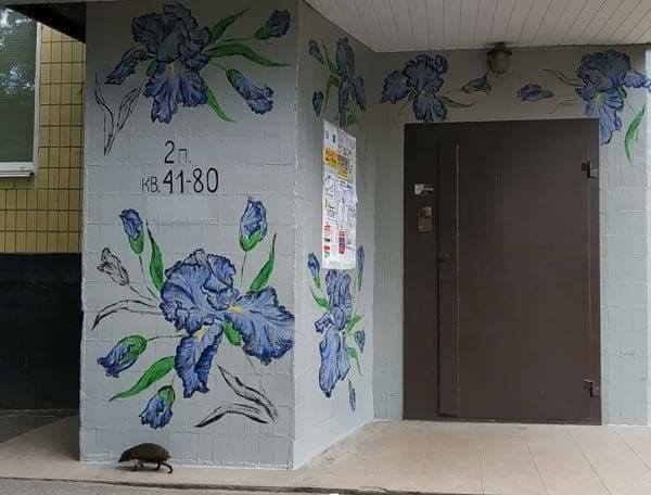 62601642_10156453343227685_865654429490085888_n