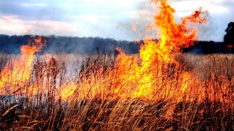 штормовое предупреждение