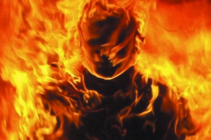 729_486_560d7f7576528_0