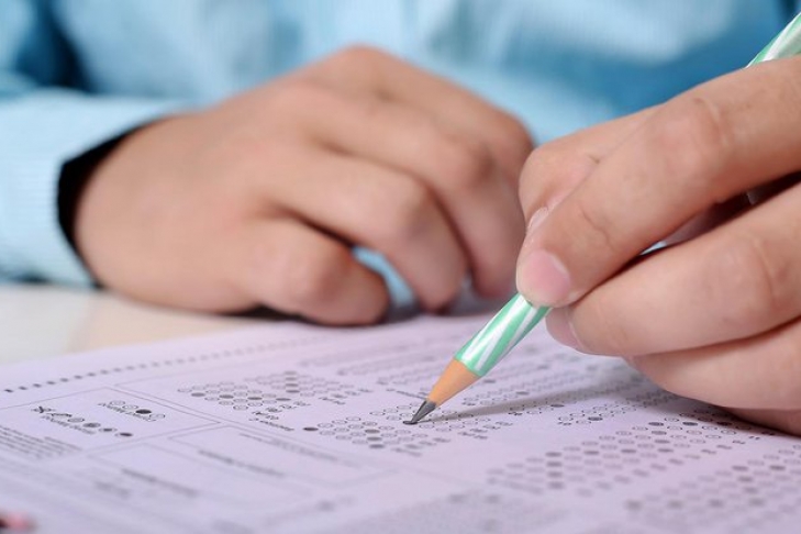 тестирование