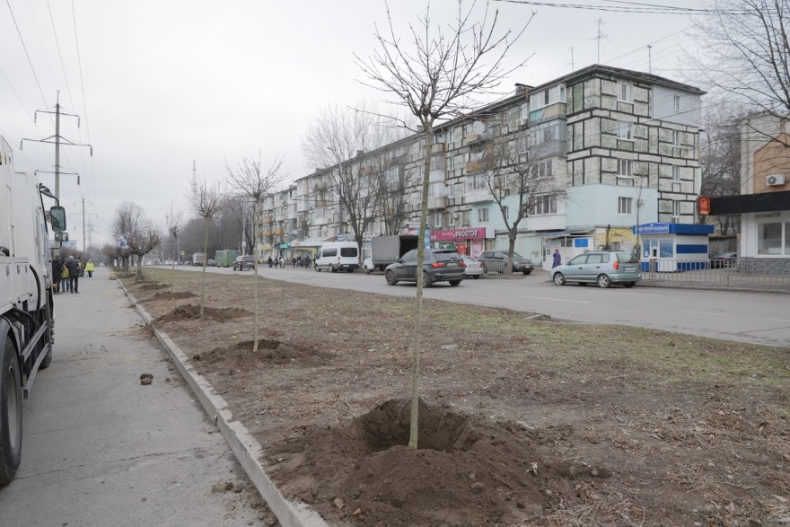 На проспекті Поля у Дніпрі висадять понад 200 молодих дерев