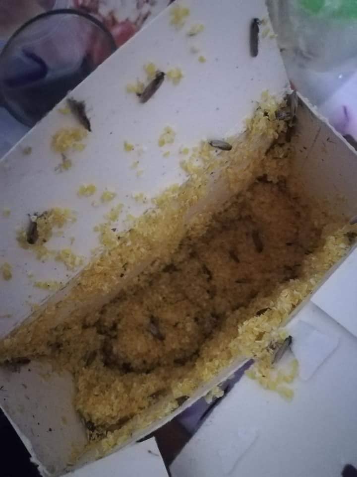 продукты