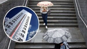 Зима в Украине просто исчезнет: климатологи сделали важное заявление