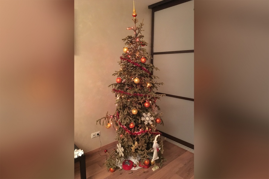 7b4d28612ca78e090f234d4224a738ba0119dd9c_900