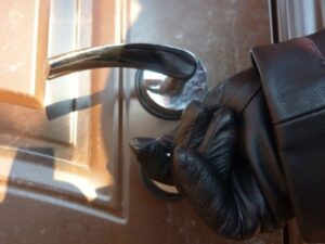 вор-домушник, фото из открытых источников