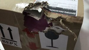 «Новая почта» в Днепре угодила в новогодний скандал: мыши съели посылку (Фото)
