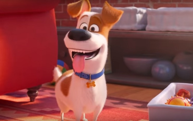 Тайная жизнь домашних животных, кадр из мультфильма