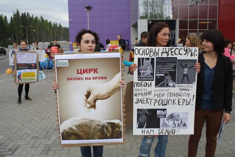 Митинг в защиту животных. Фото: В Контакте