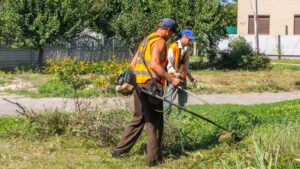 Як у Дніпрі борються з карантинними рослинами