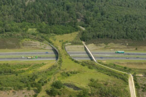 переходы для диких животных