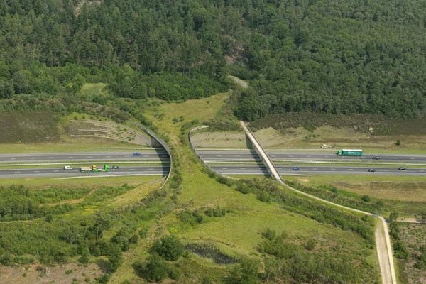 переходы для диких животных