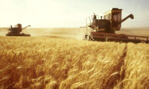 agro