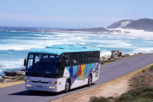 avtobus-k-moryu_5b45b5c094a5b