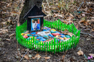 кладбище животных