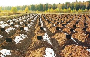 blog_entry_0172564001485847616