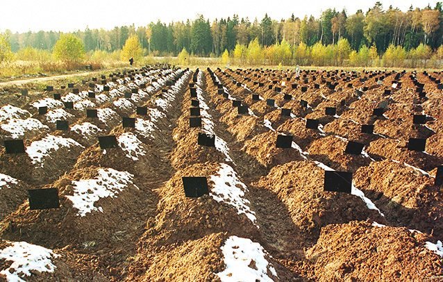 blog_entry_0172564001485847616