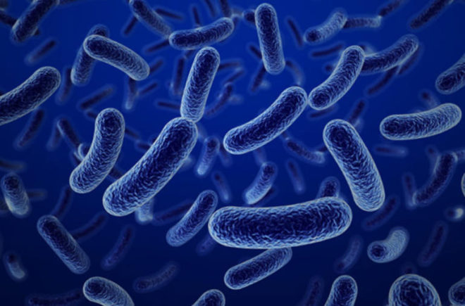 botulizm-e1494231375718