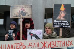 фото https://informator.dp.ua, митинг в Днепре