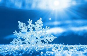 d196bf71893ccc3d1aabb978d8827617