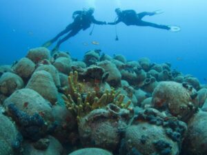 Археологи под водой