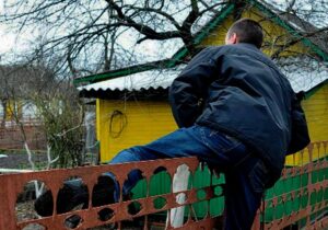 dacha_0_0