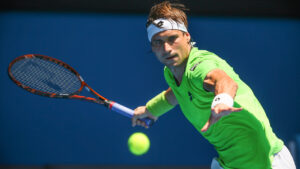david-ferrer60