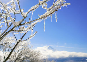 dedc3f7eb8f4e4c76a19acbda124798f