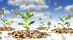 денежные растения