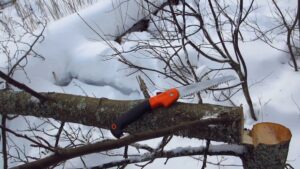 пилить деревья, фото из открытых источников