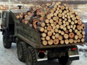 Под Днепром полицейские остановили грузовик с браконьерами и древесиной (фото)